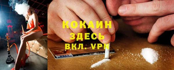 мяу мяу мука Вязьма