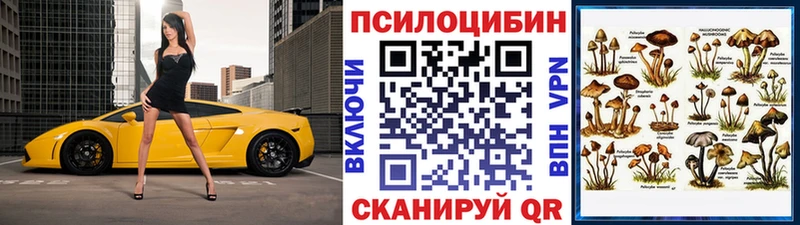 Купить где  Касли  Псилоцибиновые грибы мухоморы 